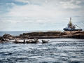 Multraship-Pentland-Firth-with-seals-resized